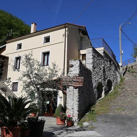 Agriturismo Dai Marchesin Nasino Экстерьер фото