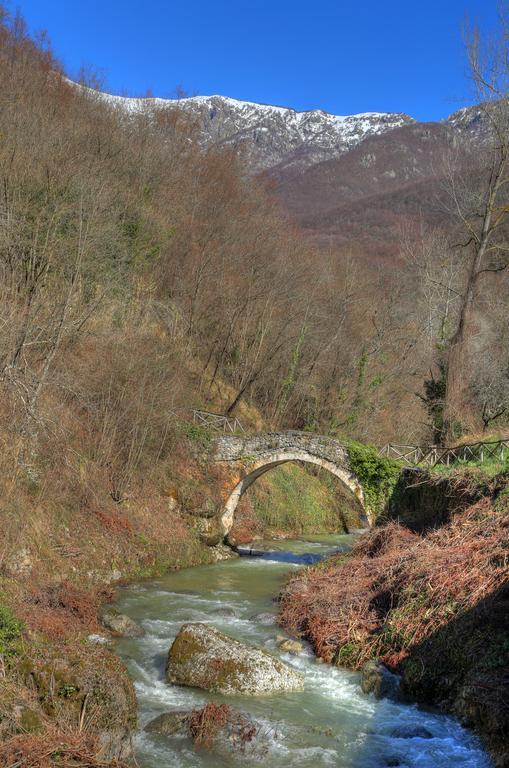 Agriturismo Dai Marchesin Nasino Экстерьер фото